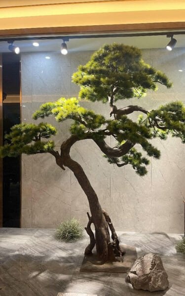 Bonsai Ağacı 250cm