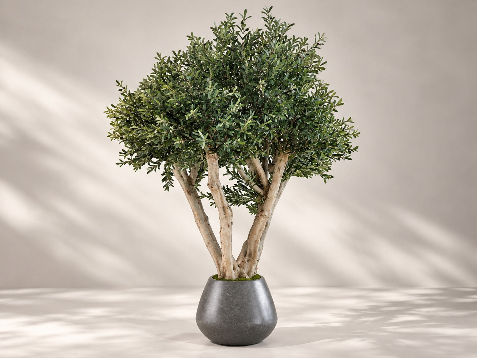 Yapay Zeytin Ağacı 260cm