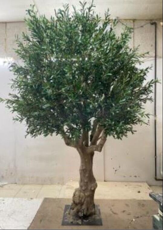 Zeytin Ağacı 280cm