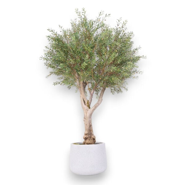 Doğal Gövdeli Yapay Zeytin Ağacı - Fiber Saksılı, UV Korumalı (220 cm)