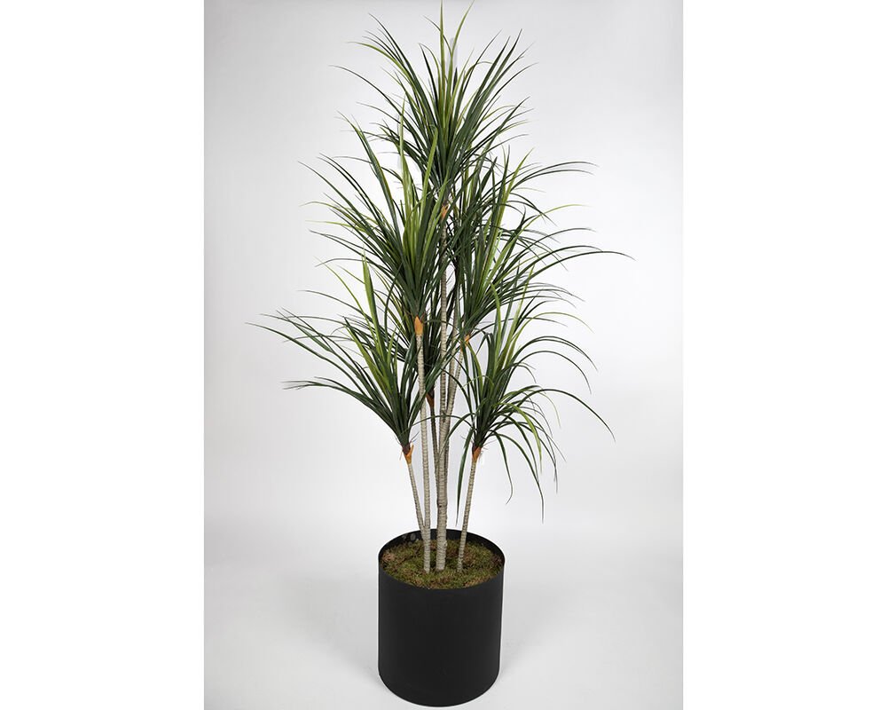 UV Yucca 200cm