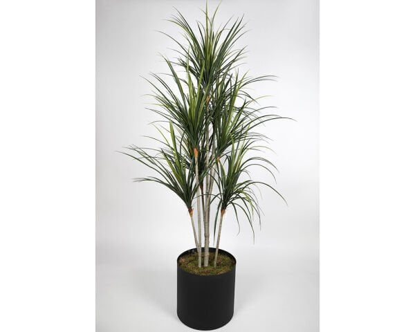 UV Yucca 200cm