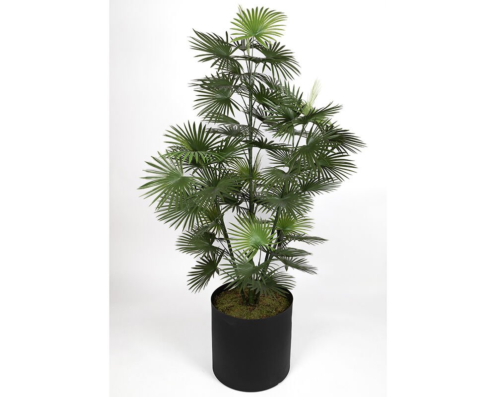 UV Fan Palmiye 170cm