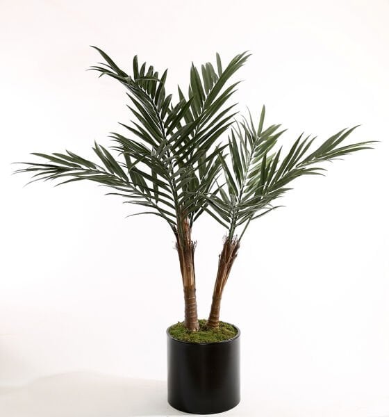 UV Kentia Palmiye 180cm