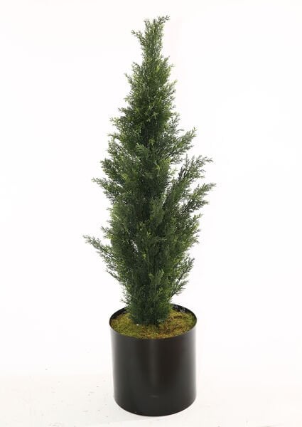 UV Mazı 120cm
