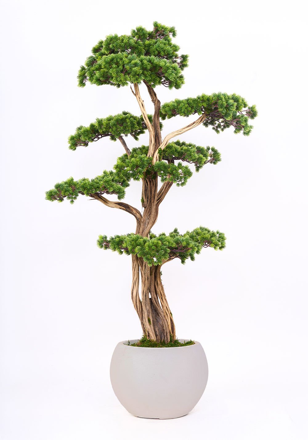 Yapay Bonsai Ağacı 180cm