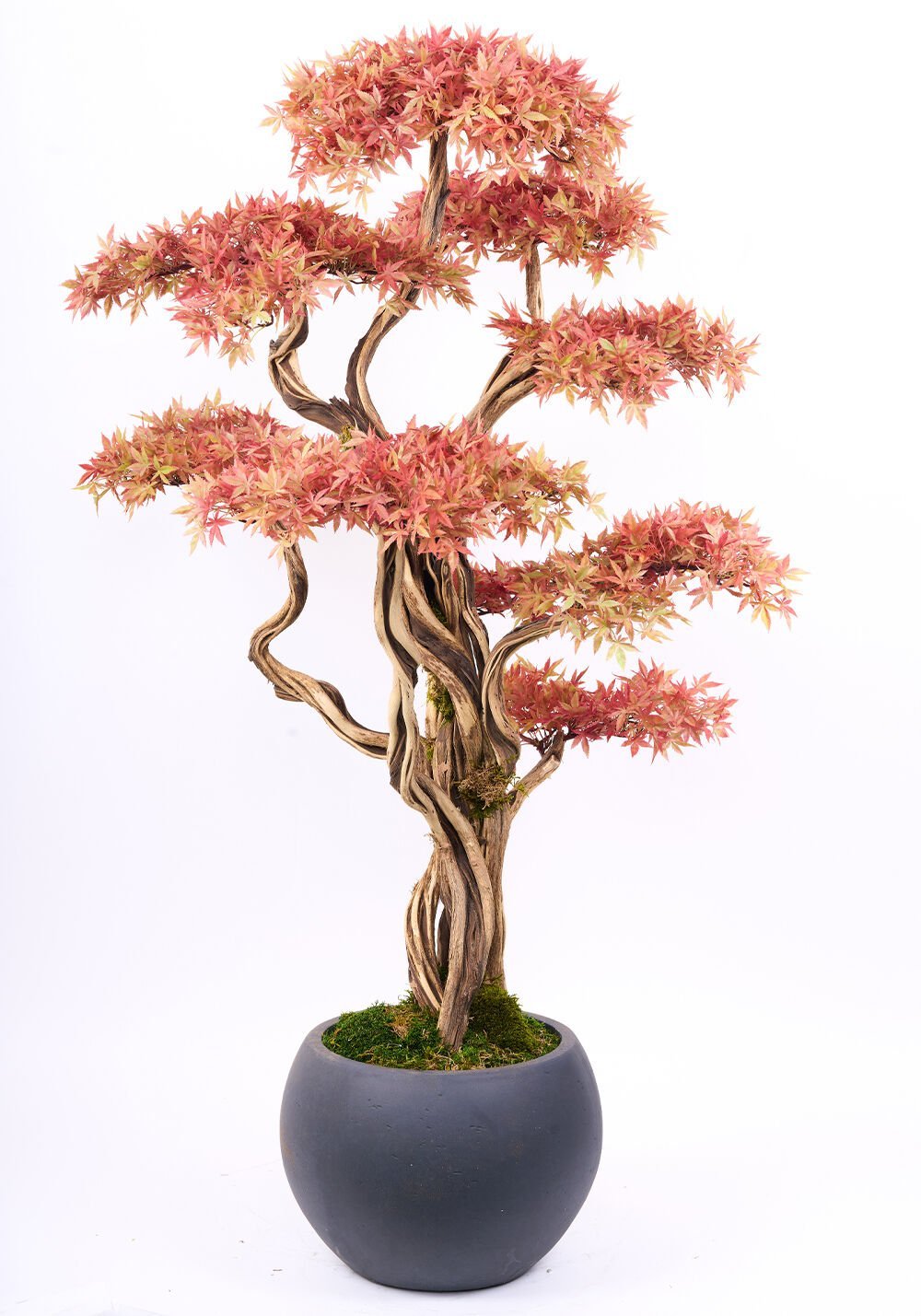 Yapay Bonsai Ağacı 170cm - Saksılı