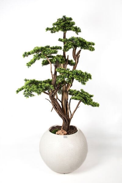 Yapay Bonsai Ağacı 190cm - Saksılı