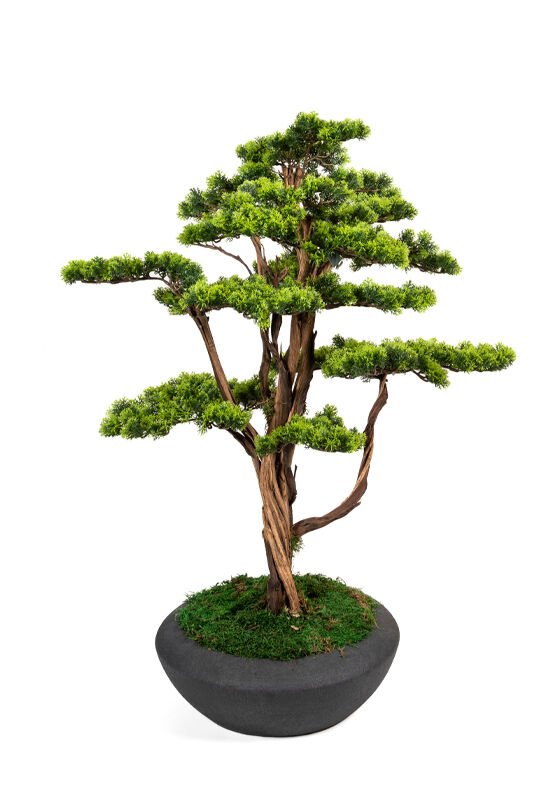 Yapay Bonsai Ağacı 120cm - Saksılı