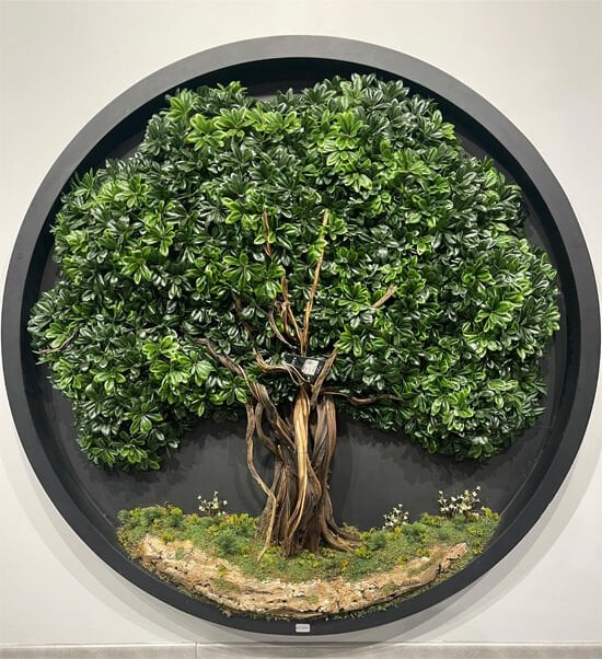 Bonsai Tablo - 160cm
