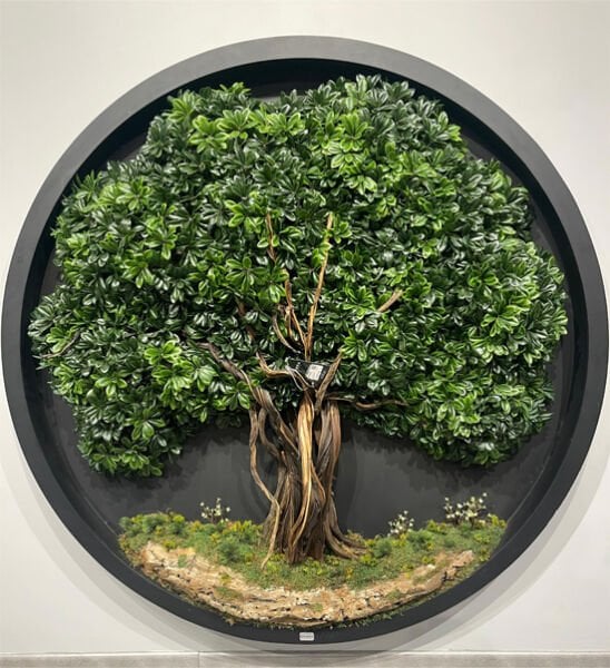 Bonsai Tablo - 160cm