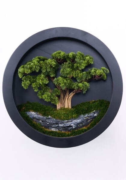 Bonsai Tablo - 80cm