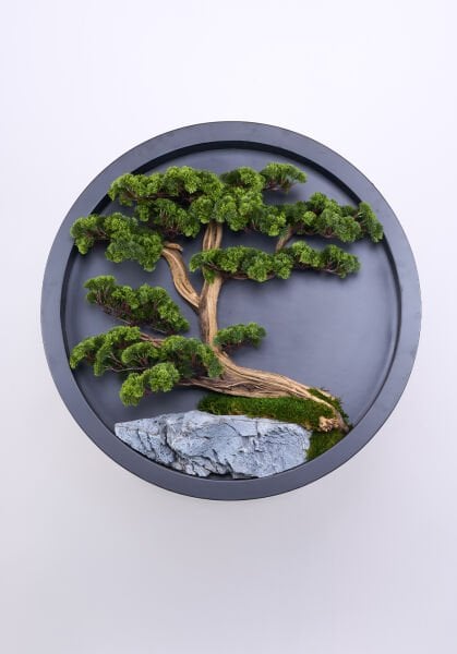 Bonsai Tablo - 90cm