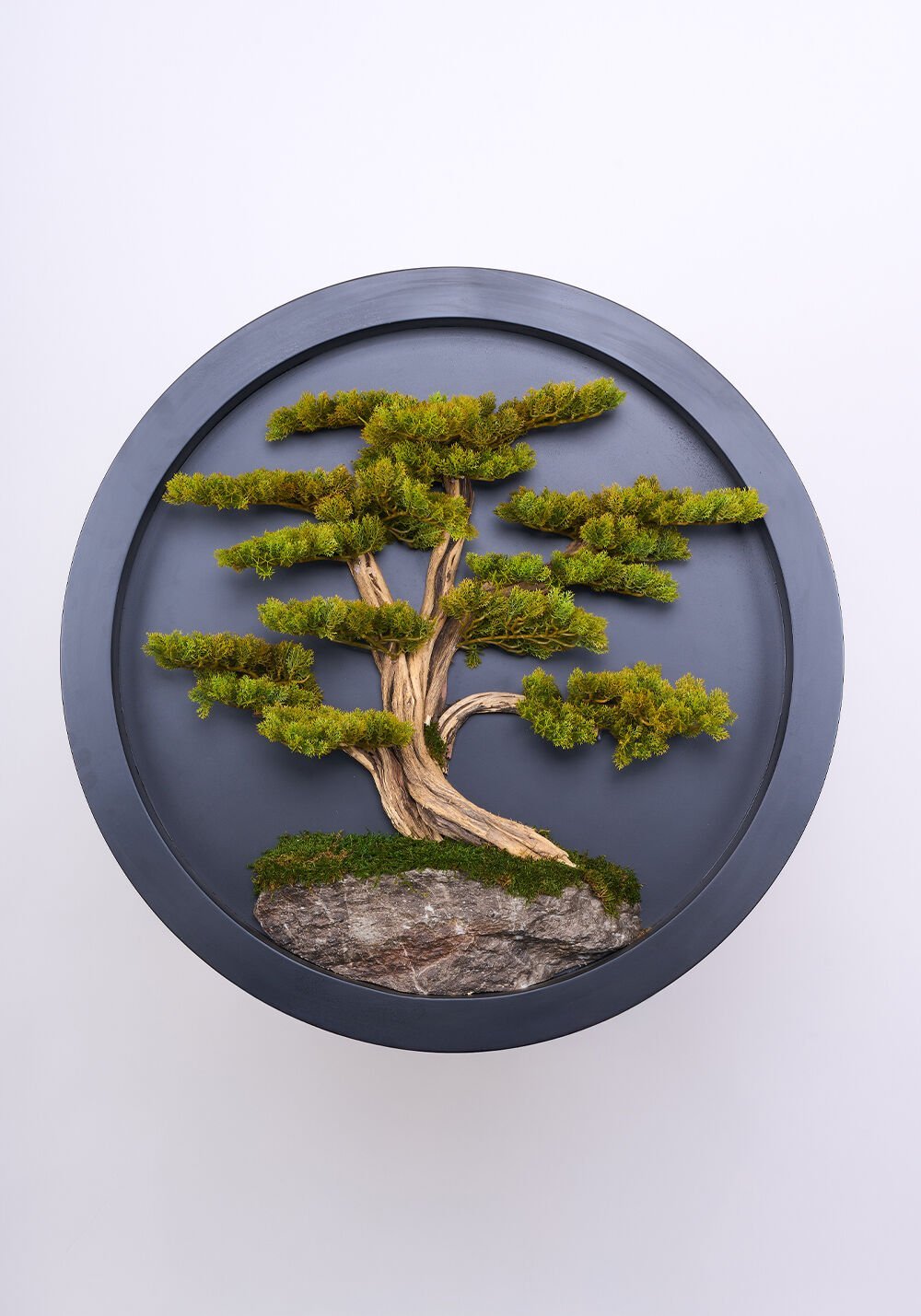Bonsai Tablo - 90cm
