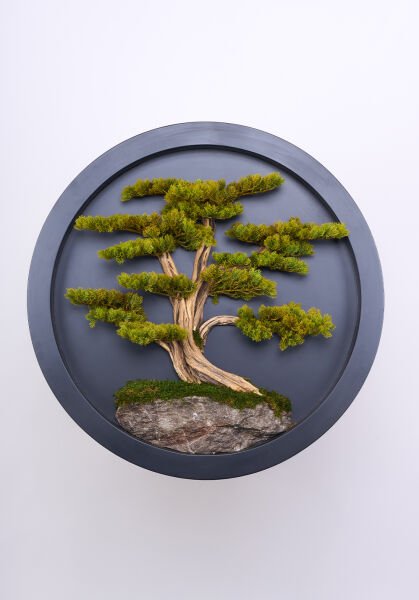 Bonsai Tablo - 90cm