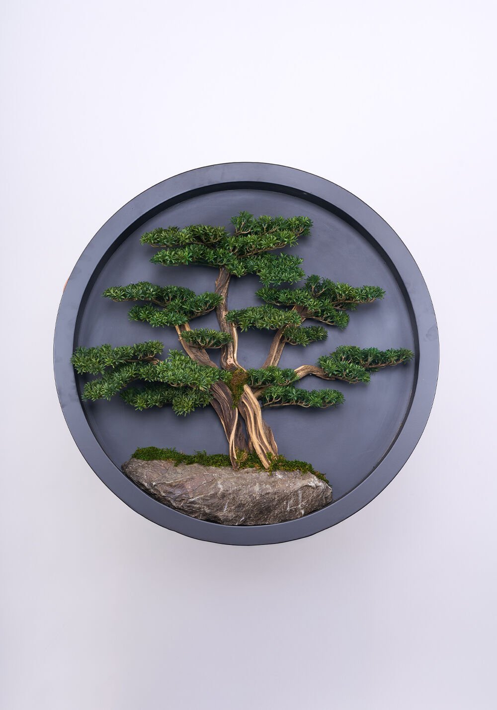 Bonsai Tablo - 90cm