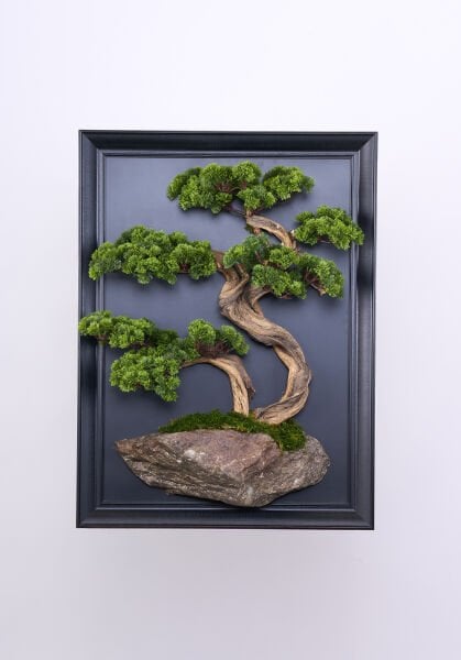 Bonsai Tablo - 50x70cm