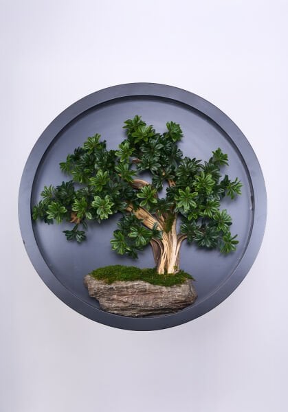 Bonsai Tablo - 110cm