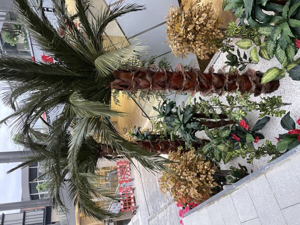 Yapay Palmiye