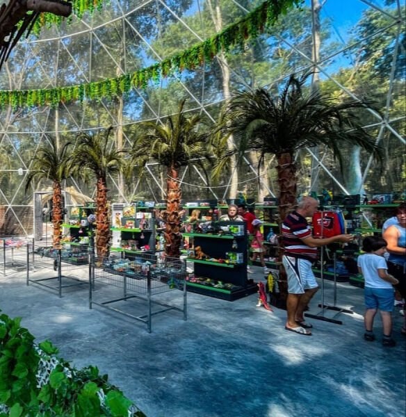 Yapay Palmiye Ağacı | Dış Mekana Dayanıklı