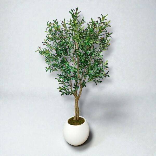 Zeytin Ağacı 220cm