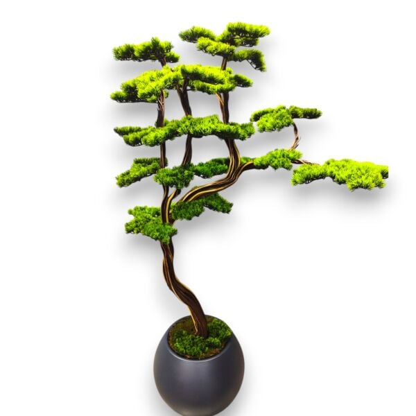 Bonsai Ağacı 220cm