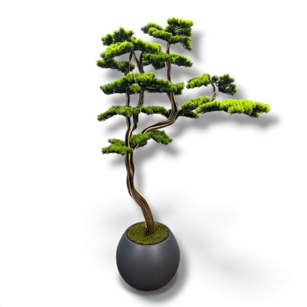 Bonsai Ağacı 200cm