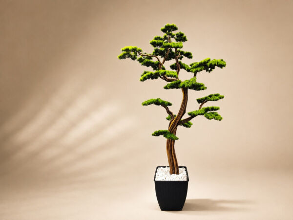 200 cm Doğal Gövdeli Yapay Bonsai Ağacı - Siyah Hasır Saksılı