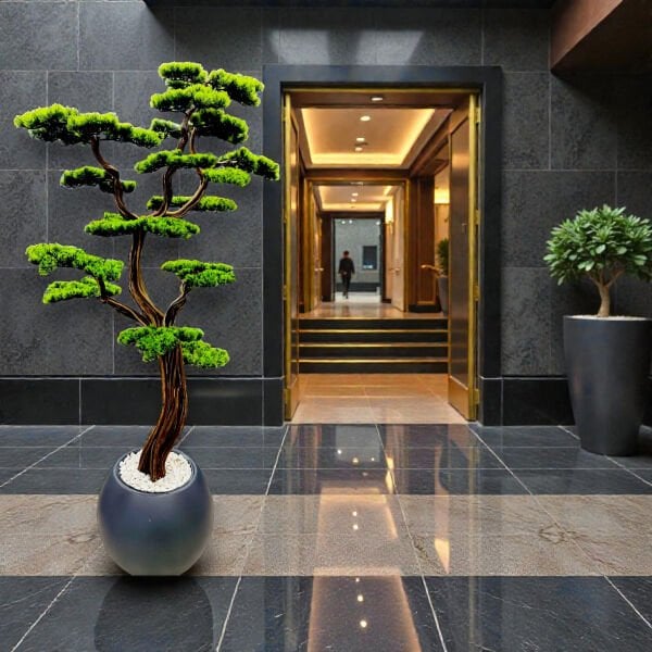 Bonsai Ağacı 220cm