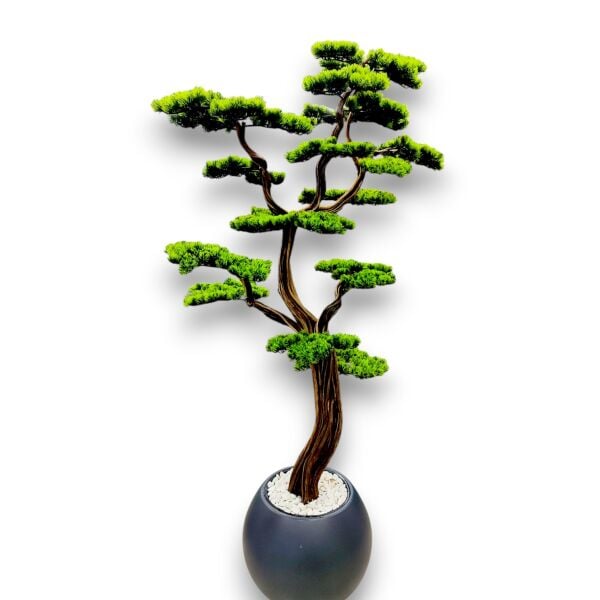 Bonsai Ağacı 220cm