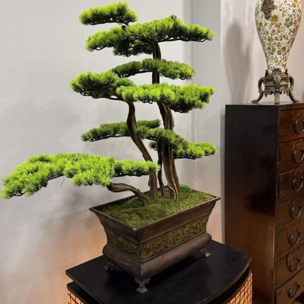 Bonsai Ağacı 100cm