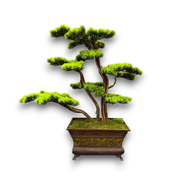 Bonsai Ağacı 100cm