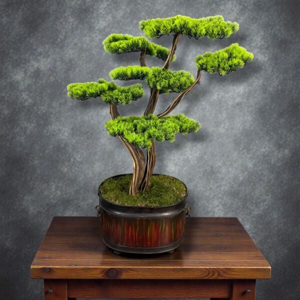Bonsai Ağacı 100cm