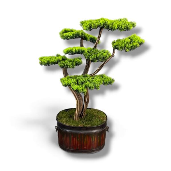 Bonsai Ağacı 100cm