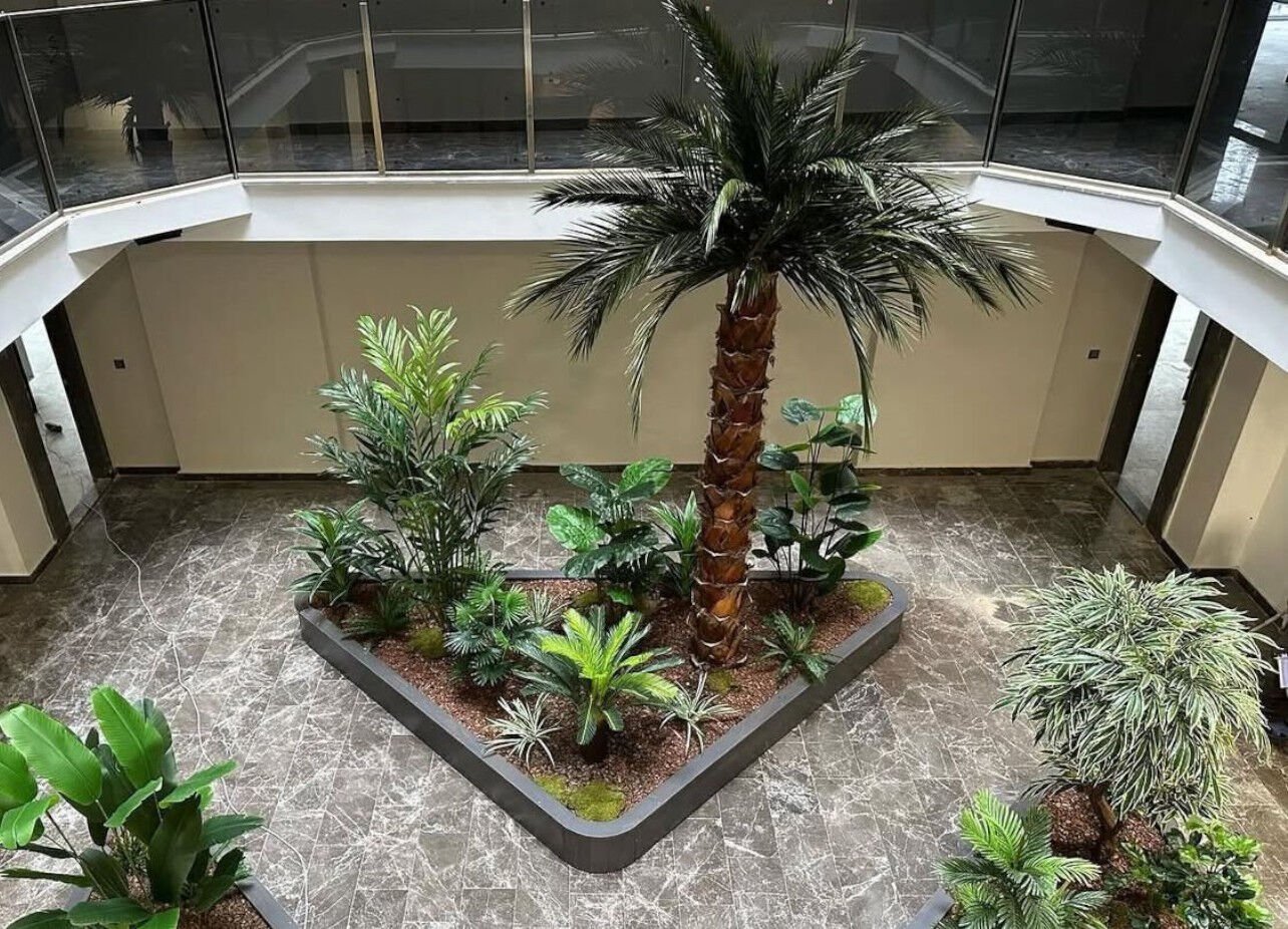 Şoklanmış Palmiye