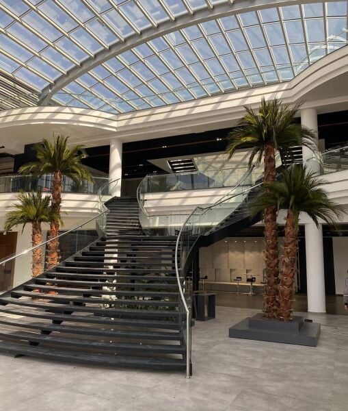 Şoklanmış Palmiye