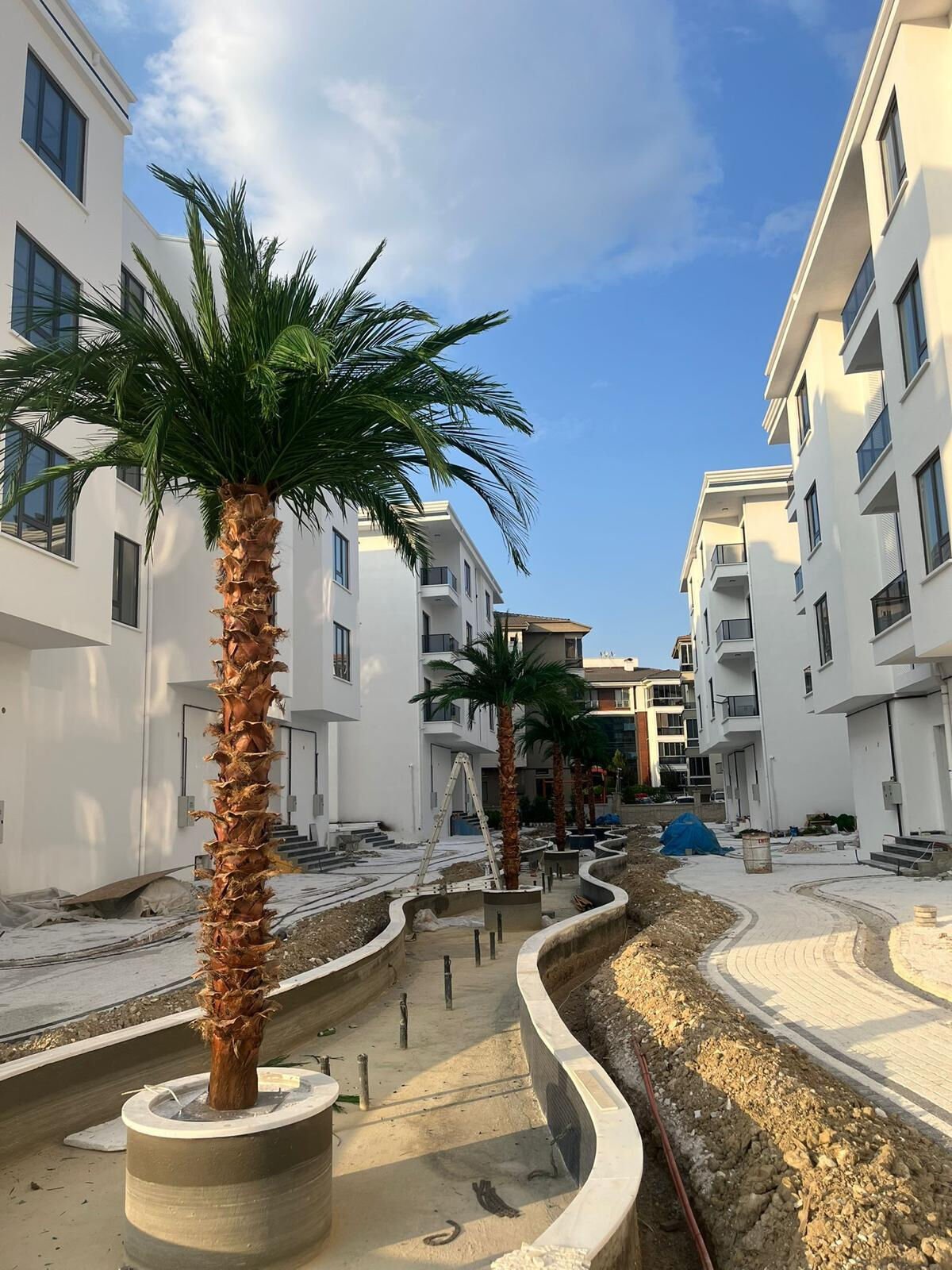 Site içi dış mekan toplu peyzaj uygulamalarında yapay palmiye