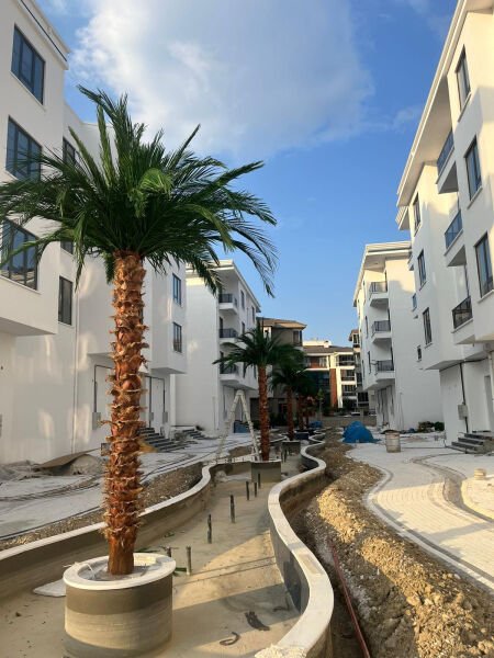 Şoklanmış Palmiye Ağacı | Dış Mekana Dayanıklı Yapay Palmiye