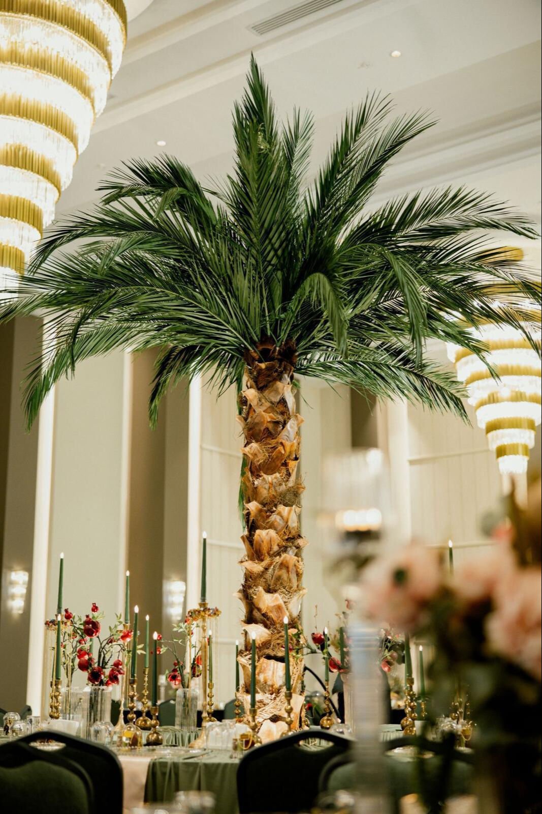Özel etkinlik ve lüks iç mekanlar için şoklanmış palmiye dekorasyonu