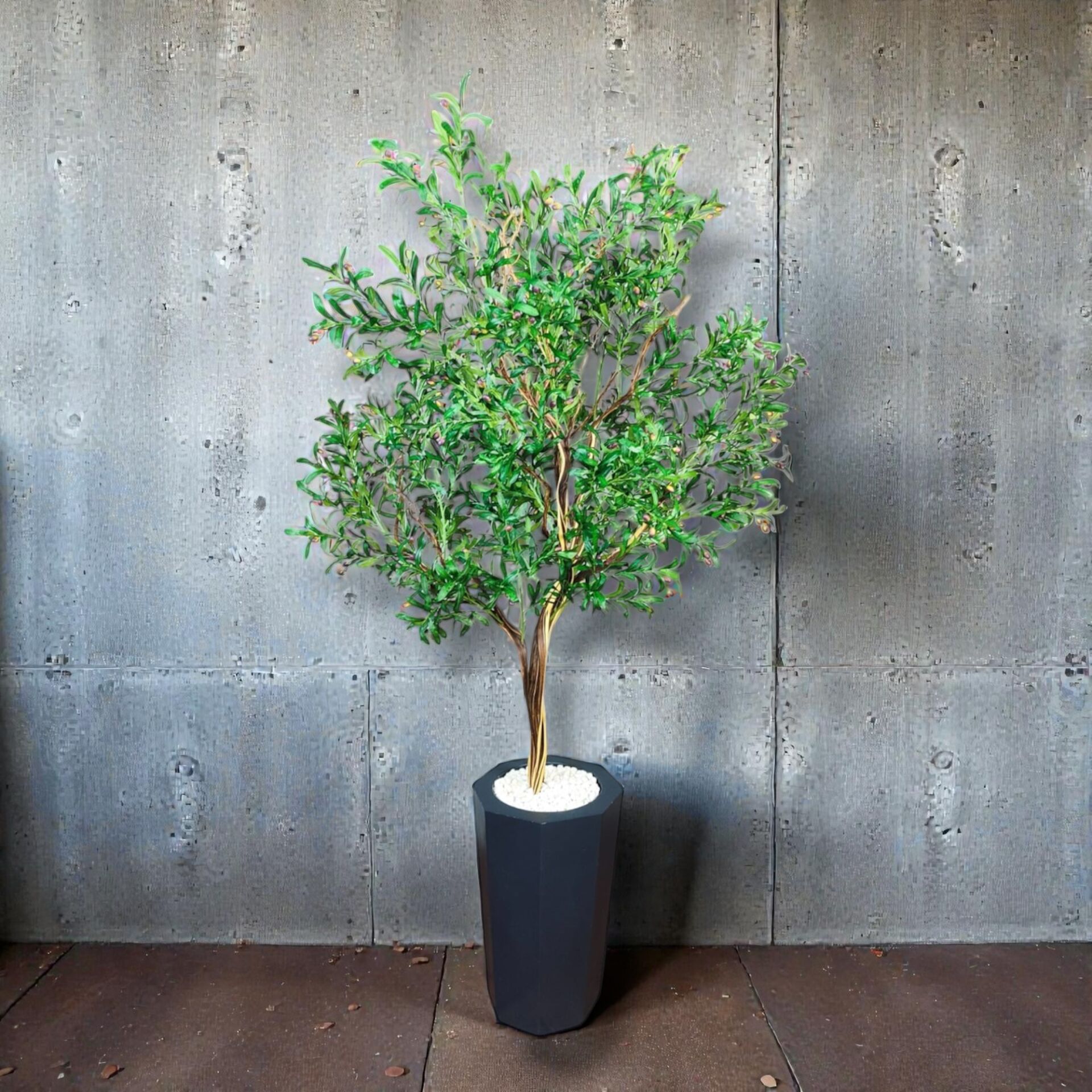 Zeytin Ağacı 260cm