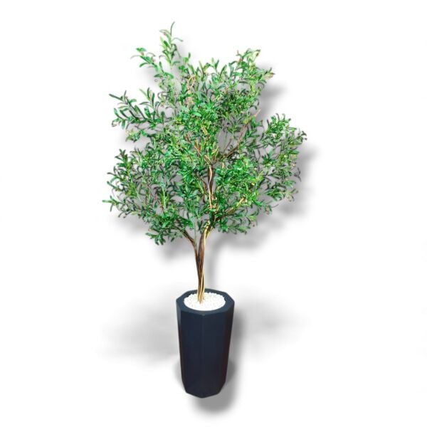 Zeytin Ağacı 260cm