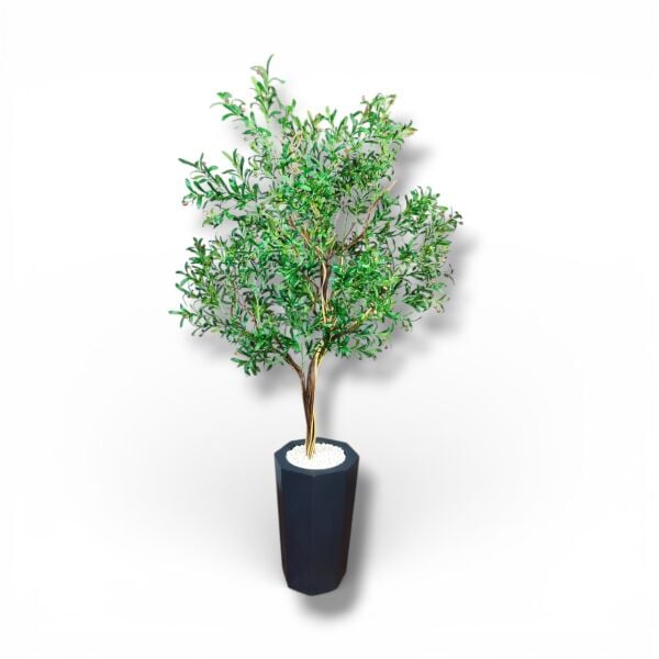 Zeytin Ağacı 260cm