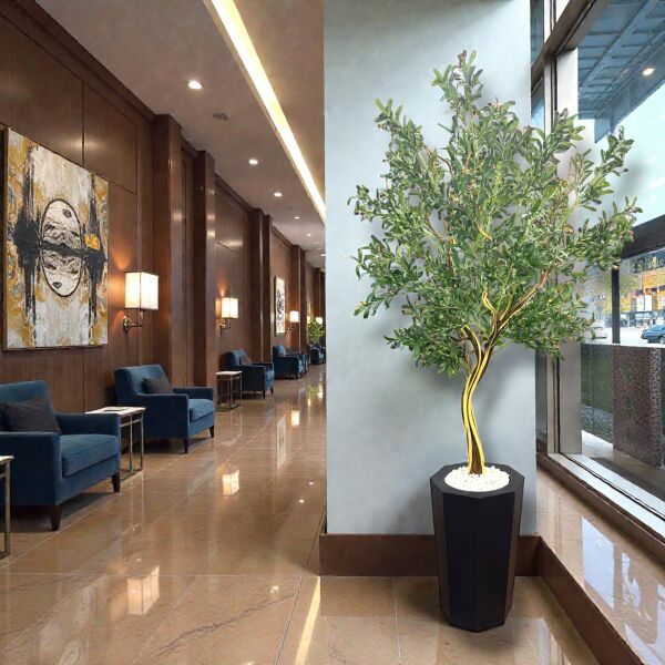 Zeytin Ağacı 260cm