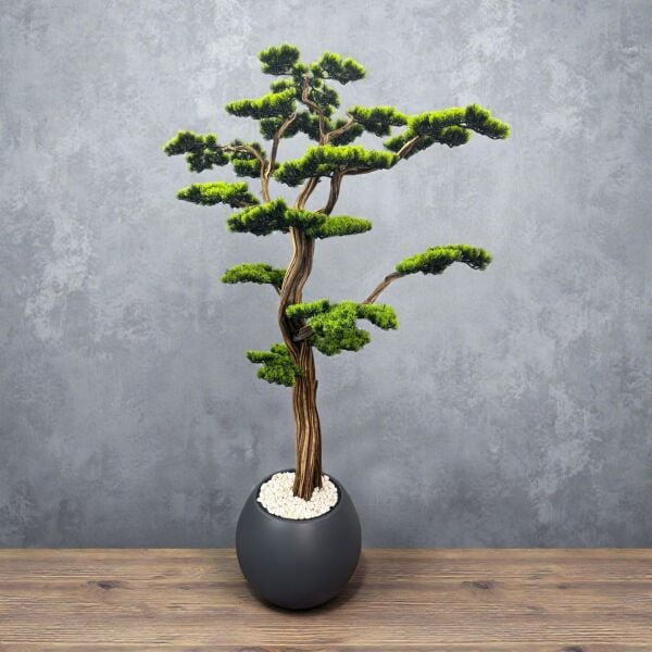 Bonsai Ağacı 200cm
