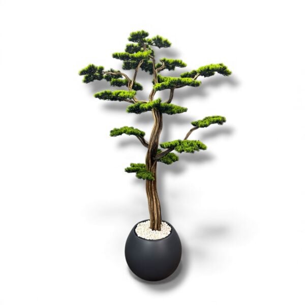 Bonsai Ağacı 200cm