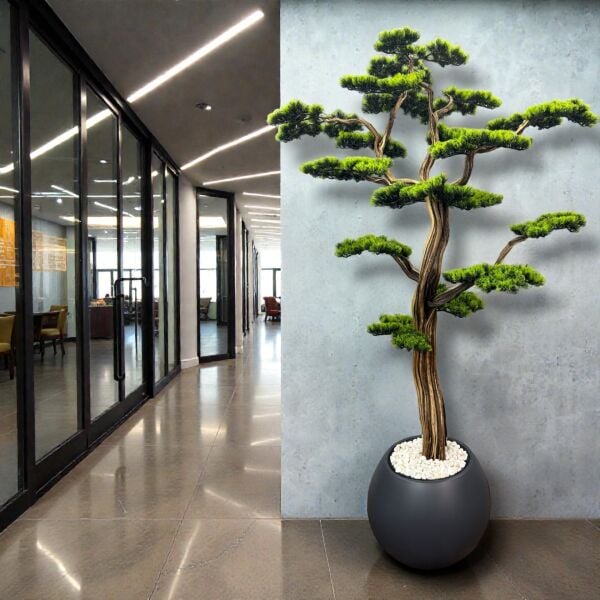 Bonsai Ağacı 200cm