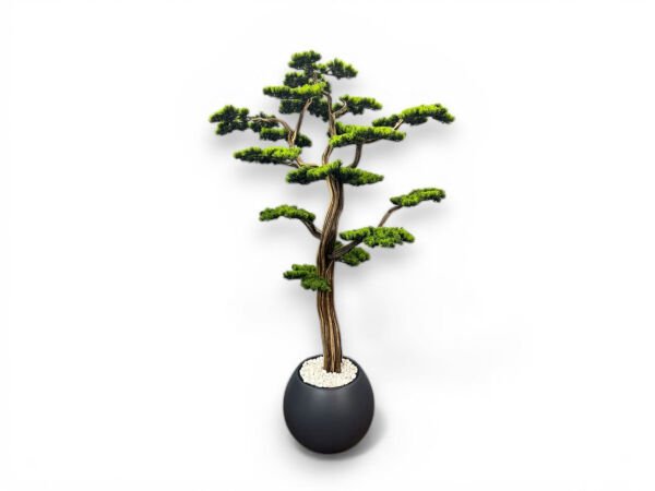 200 cm Doğal Gövdeli Bonsai Ağacı