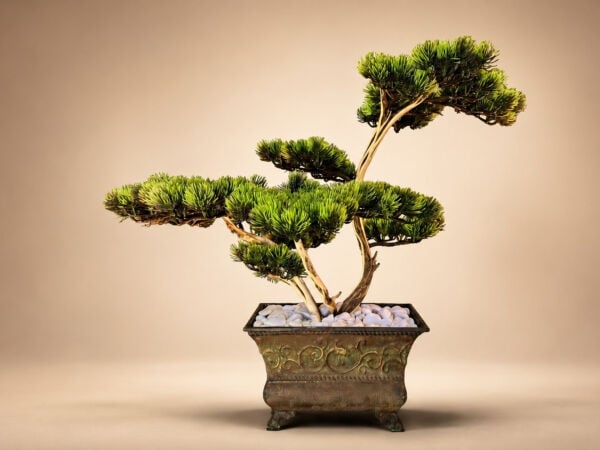 60 cm Yapay Bonsai Ağacı - Eskitme Bakır Saksılı