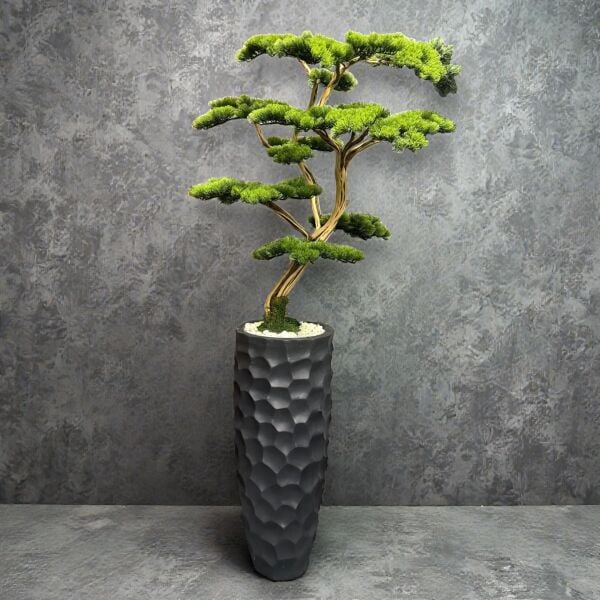 Bonsai Ağacı 220cm