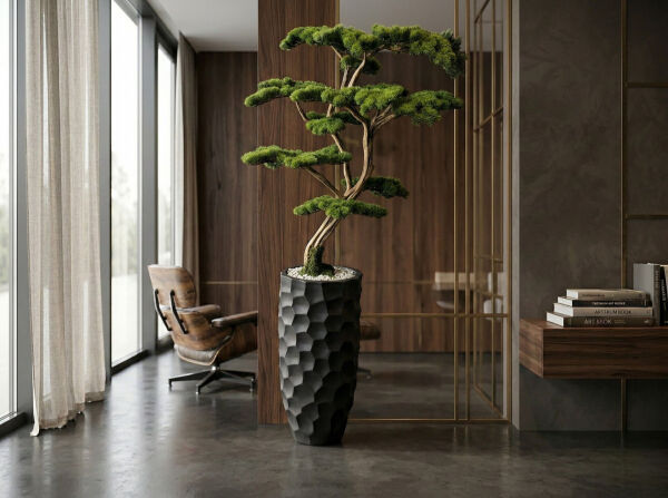 Yapay Bonsai Ağacı Doğal Gövde 220 cm Antrasit Fiber Saksılı